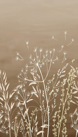 Veer Decor Dandelion Drift Brown Wall Mural