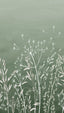 Veer Decor Dandelion Drift Green Wall Mural