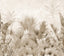 Veer Decor Tropical Wilderness Sepia Wall Mural