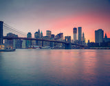 Veer Decor New York New York Wall Mural