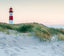 Veer Decor Lighthouse Dunes Wall Mural