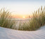 Veer Decor Beach Sunset Blue Wall Mural
