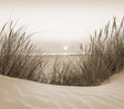 Veer Decor Beach Sunset Sepia Wall Mural