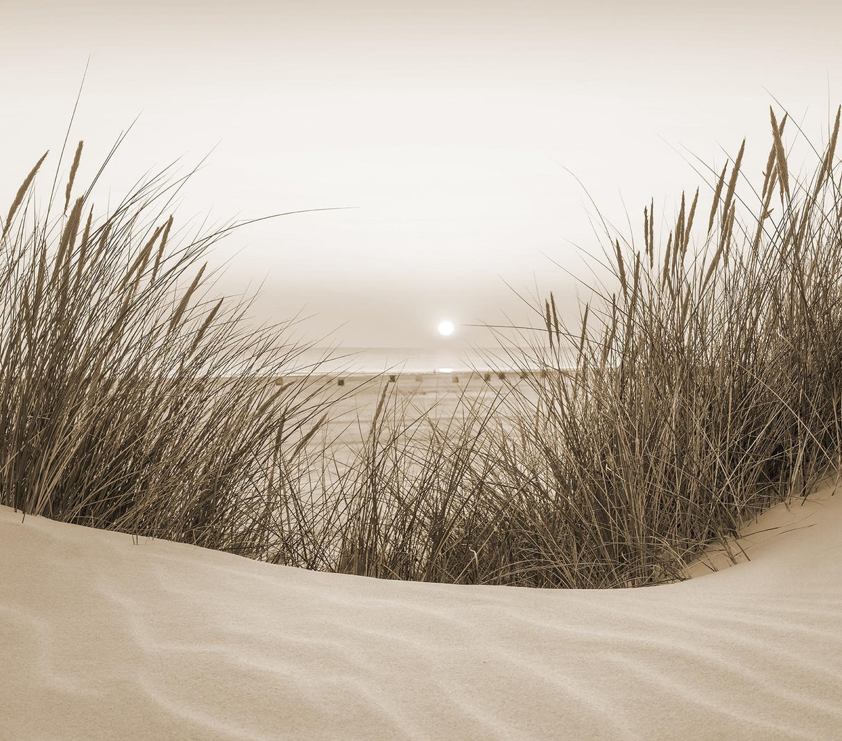Veer Decor Beach Sunset Sepia Wall Mural