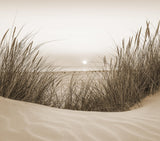 Veer Decor Beach Sunset Sepia Wall Mural