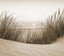 Veer Decor Beach Sunset Sepia Wall Mural