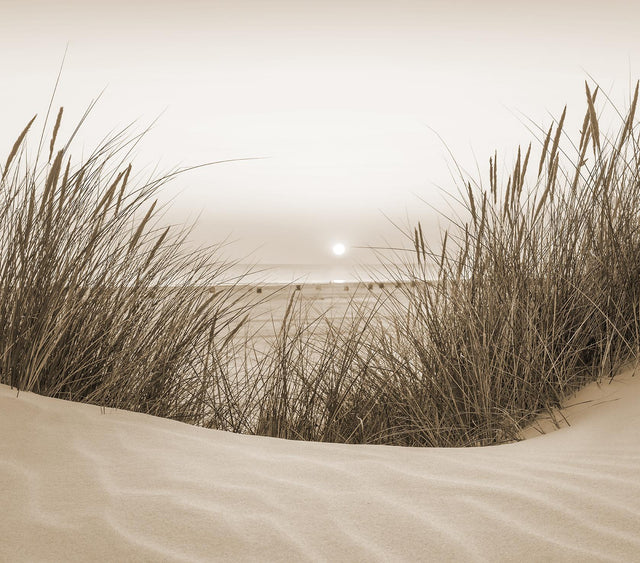 Veer Decor Beach Sunset Sepia Wall Mural
