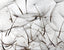 Veer Decor Floating Wishes Wall Mural