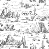 Veer Decor Area 51 Novelty Toile Grey Peel and Stick Wallpaper