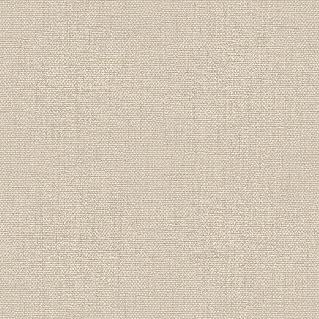 Veer Decor Exclusive Thread Beige Wallpaper