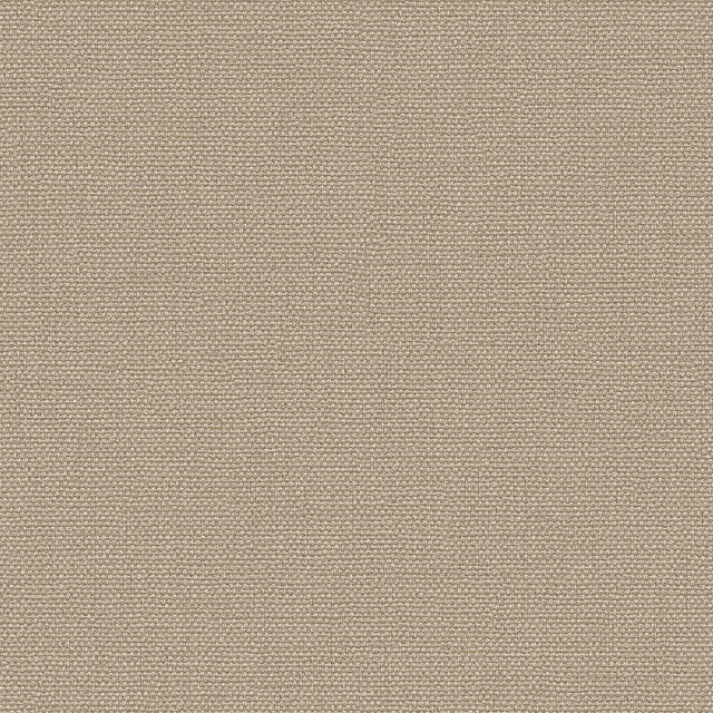 Veer Decor Exclusive Thread Sage Wallpaper