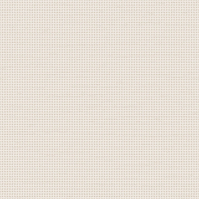 Veer Decor Cane Lattice White Wallpaper