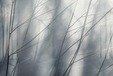 Veer Decor Aeris Grey Wall Mural