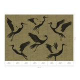 Veer Decor Black Feathers Gold Wall Mural