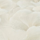 Veer Decor Floral Glow Beige Wallpaper