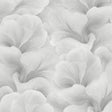 Veer Decor Floral Glow Grey Wallpaper