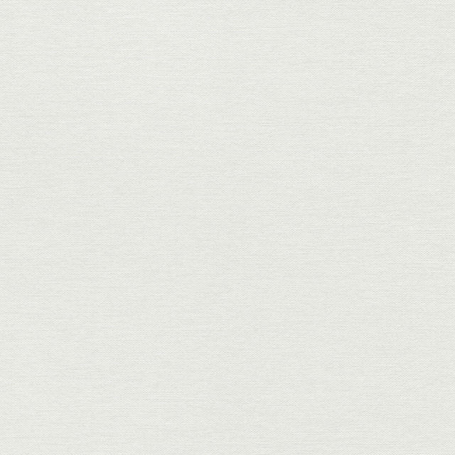 Veer Decor Echo Jute Texture White Wallpaper
