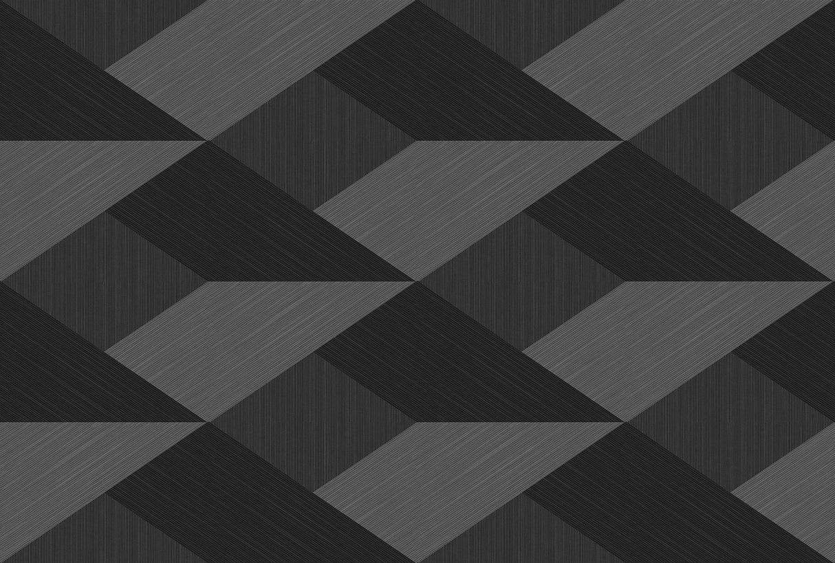 Veer Decor Shadow Grid Black Wall Mural