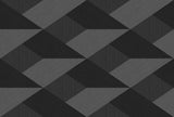 Veer Decor Shadow Grid Black Wall Mural