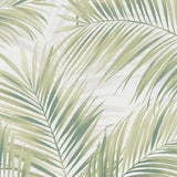Veer Decor Calvado Palm Green Wallpaper