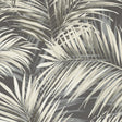 Veer Decor Calvado Palm Black Wallpaper