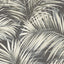 Veer Decor Calvado Palm Black Wallpaper