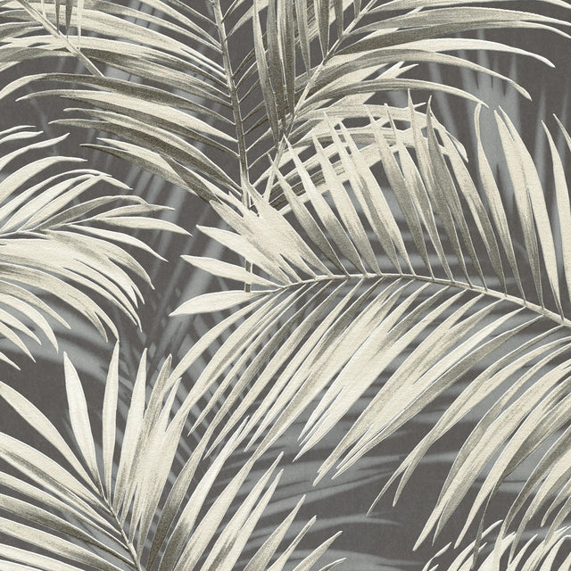 Veer Decor Calvado Palm Black Wallpaper
