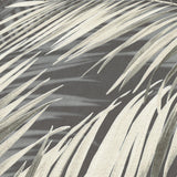 Veer Decor Calvado Palm Black Wallpaper