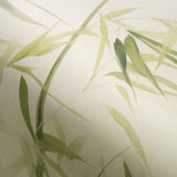 Veer Decor Bamboo Breeze Green Wall Mural