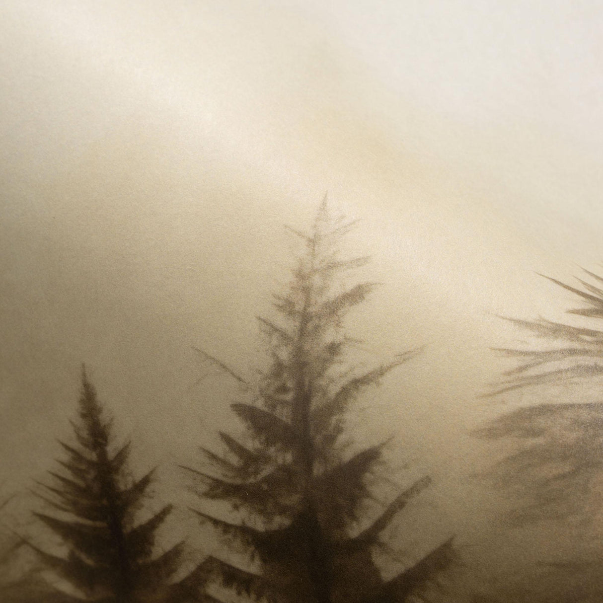 Veer Decor Silent Woods Beige Wall Mural