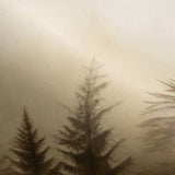 Veer Decor Silent Woods Beige Wall Mural