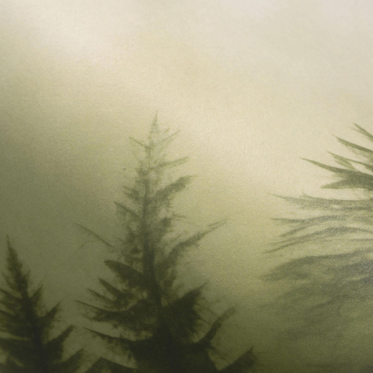 Veer Decor Silent Woods Green Wall Mural
