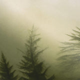 Veer Decor Silent Woods Green Wall Mural