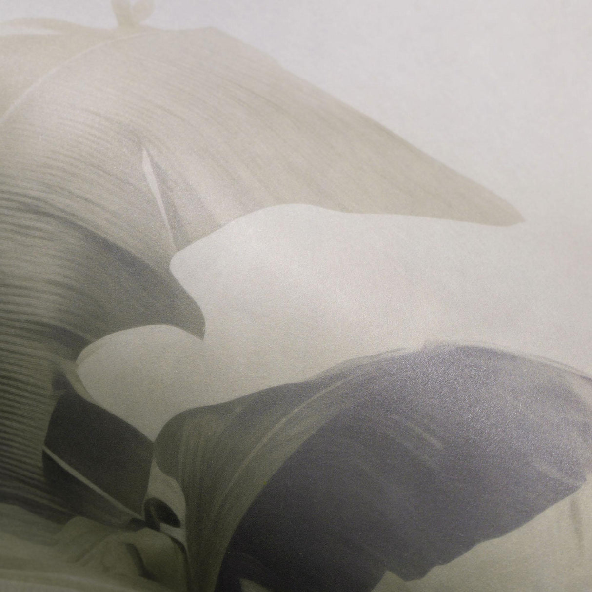 Veer Decor Jungle Veil Grey Wall Mural