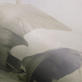 Veer Decor Jungle Veil Grey Wall Mural