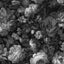 Veer Decor Vintage Floral Black & White Peel & Stick Wallpaper