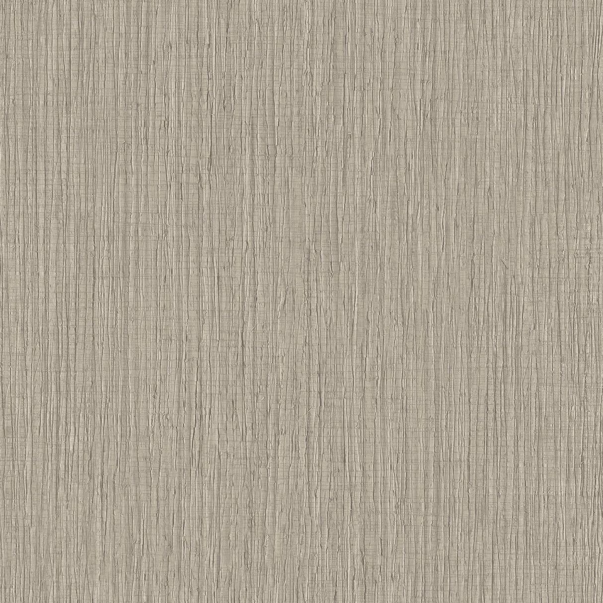 Veer Decor Sienna Strand Texture Warm Grey Wallpaper