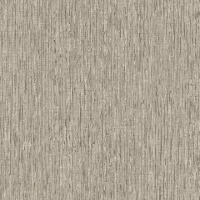 Veer Decor Sienna Strand Texture Warm Grey Wallpaper