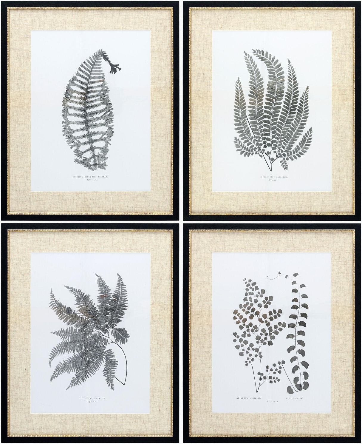 Livabliss Ferne FERNE-001 1"H x 17"W x 21"D; 1"H x 17"W x 21"D; 1"H x 17"W x 21"D Art