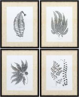 Livabliss Ferne FERNE-001 1"H x 17"W x 21"D; 1"H x 17"W x 21"D; 1"H x 17"W x 21"D Art