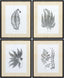 Livabliss Ferne FERNE-001 1"H x 17"W x 21"D; 1"H x 17"W x 21"D; 1"H x 17"W x 21"D Art
