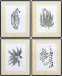 Livabliss Ferne FERNE-001 1"H x 17"W x 21"D; 1"H x 17"W x 21"D; 1"H x 17"W x 21"D Art