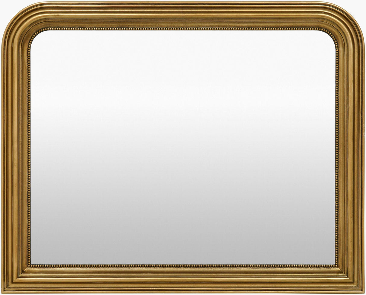 Livabliss Phillipe PHIL-003 29"H x 36"W x 2"D Mirror