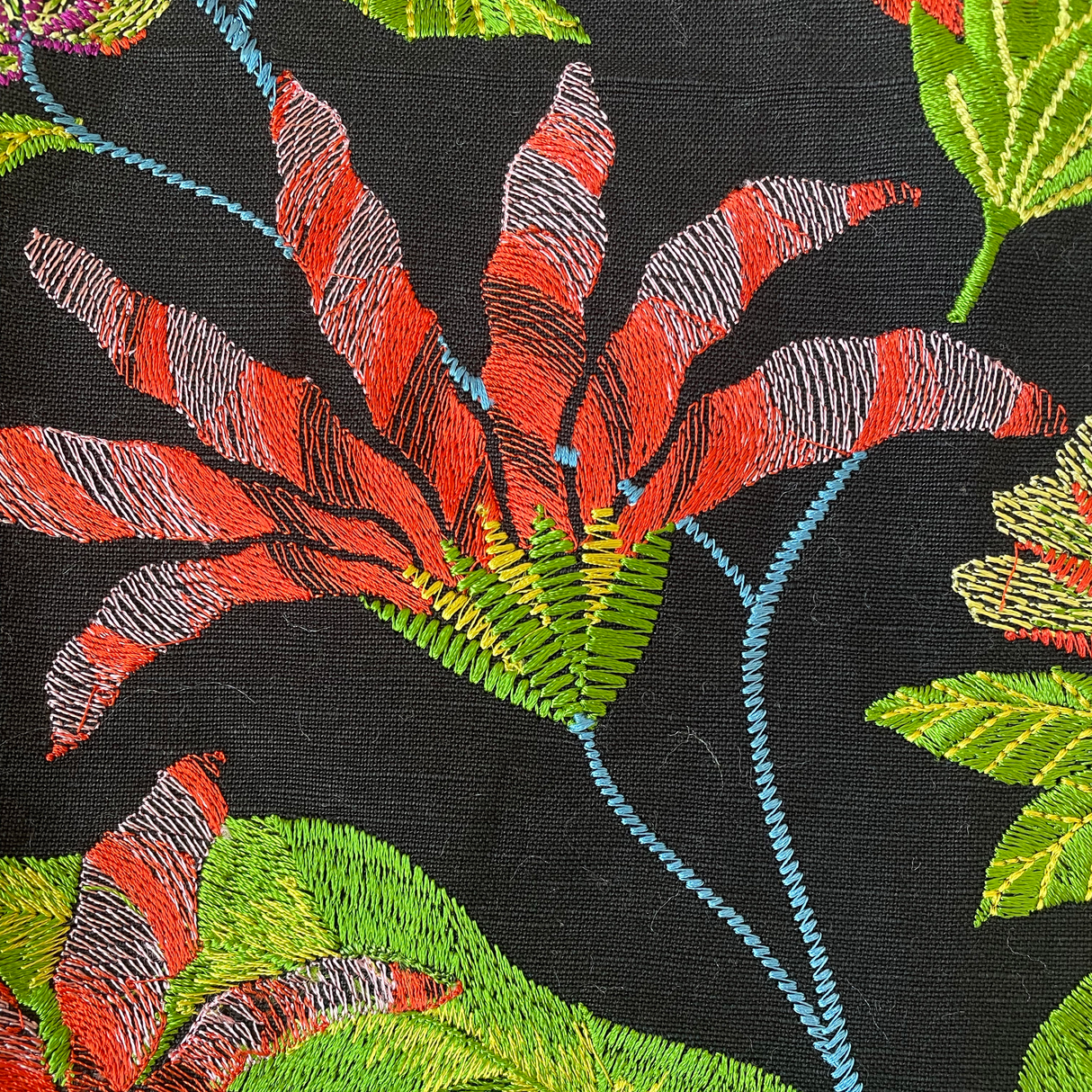 Ann Gish Black Cloud Forest