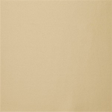 Ann Gish Pumice Charmeuse