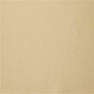 Ann Gish Pumice Charmeuse