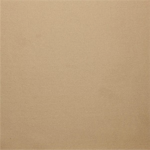 Ann Gish Silver Charmeuse