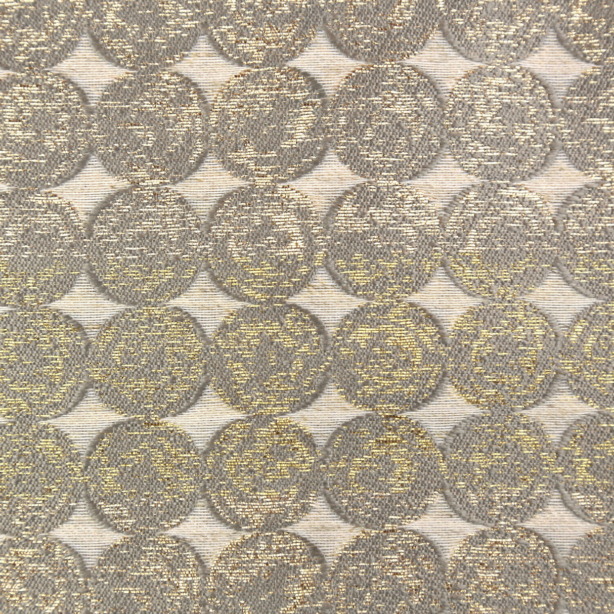 Ann Gish Gold Pumice Coin