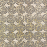 Ann Gish Gold Pumice Coin