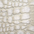 Ann Gish Quartz Croc